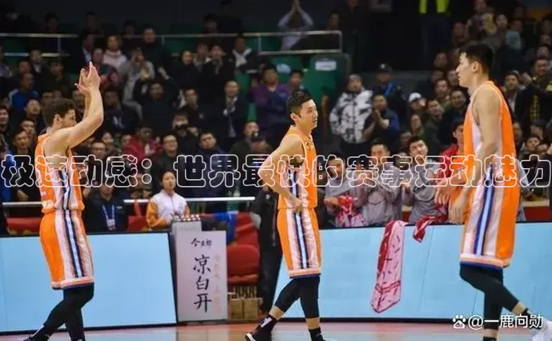 k1体育登录入口网页版