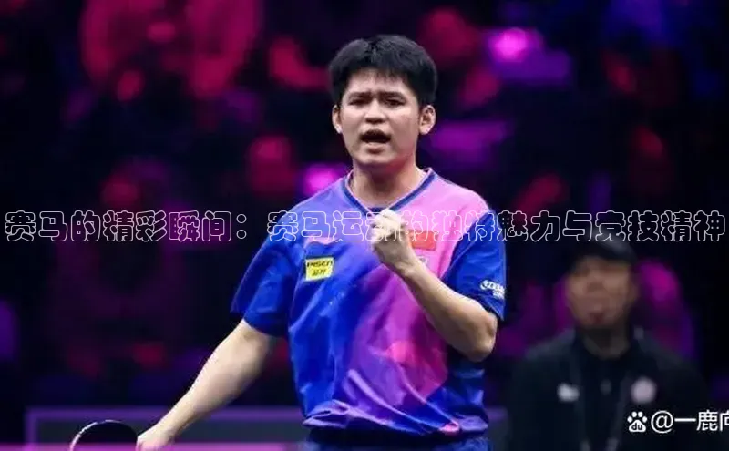 k1体育娱乐平台下载官网