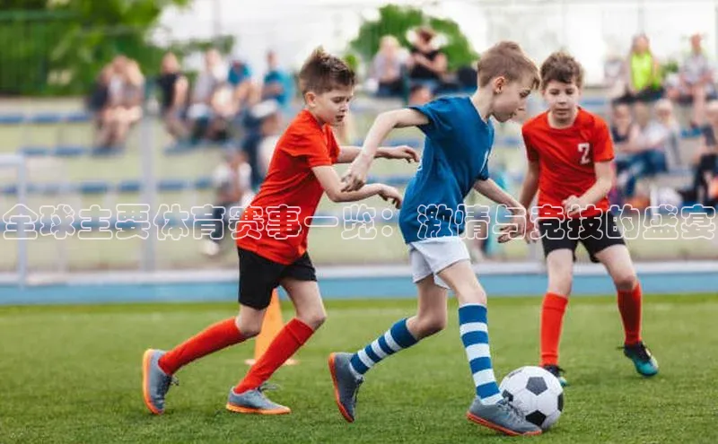 k1体育网站登陆官网