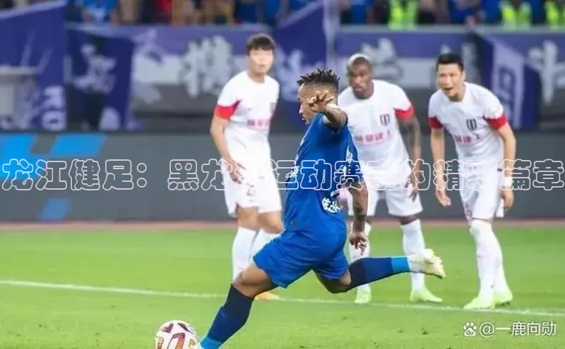 龙江健足：黑龙江运动赛事的精彩篇章