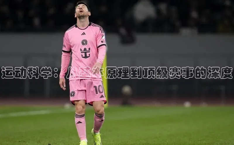 k1体育网站登陆官网